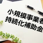 「小規模事業者持続化補助金」とは何か？　対象経費や活用事例のポイントを中小企業診断士がわかりやすく解説