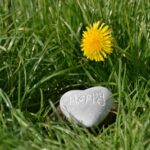 生きがい-Ikigai-とは？～幸福度を高める働き方～