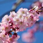 「Z世代」をやる気にさせるには?~若手を取り巻く時代背景と企業にできること~